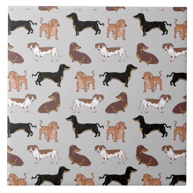 Dachshund dog pattern ceramic tile (Front)