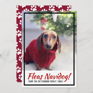 Dachshund Dog Photo Paw Print Christmas Pet Holiday Card