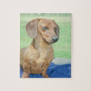 Dachshund Dog Puzzle