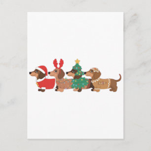 Dachshund Dog Wearing Christmas Dog Lovers Announcement Postcard