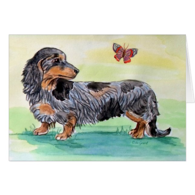 Dachshund Dog With Butterfly (Front Horizontal)