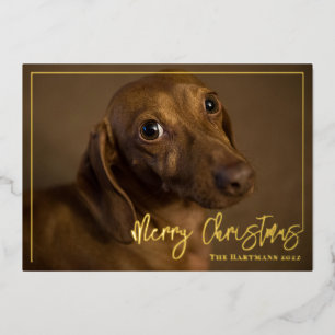 Dachshund Dog with Stocking Merry Christmas Photo Foil Holiday Card
