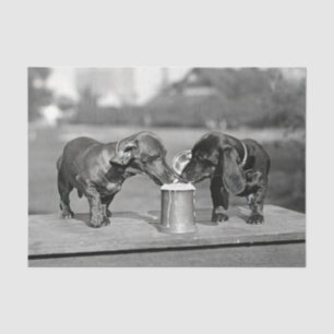 Dachshund Dogs Drinking Beer Tissue Paper