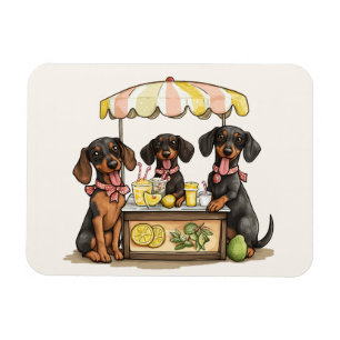 Dachshund Dogs Lemonade Stand Magnet