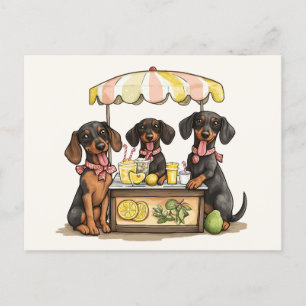 Dachshund Dogs Lemonade Stand Postcard