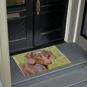 Dachshund  doormat
