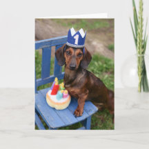Dachshund Doxie Birthday Card Weiner Dog Puppy