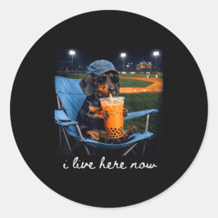 Dachshund drink iced coffee baseball field live classic round sticker