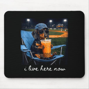 Dachshund drink iced coffee baseball field live mouse pad
