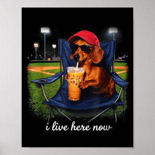 Dachshund drink iced coffee baseball field live poster