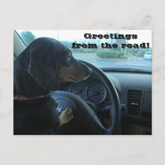 Dachshund-Driven Postcard
