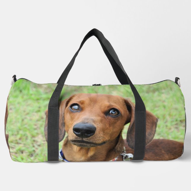 Dachshund  duffle bag (Front)