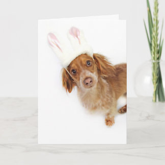 Dachshund Easter Holiday Card