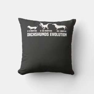 Dachshund Evolutions Cushion