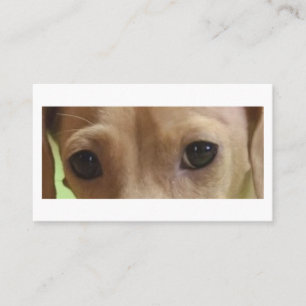Dachshund Eyes Cream Business Card