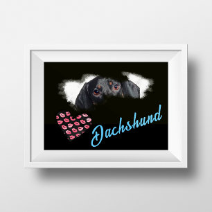 Dachshund Eyes Solid Colour Poster