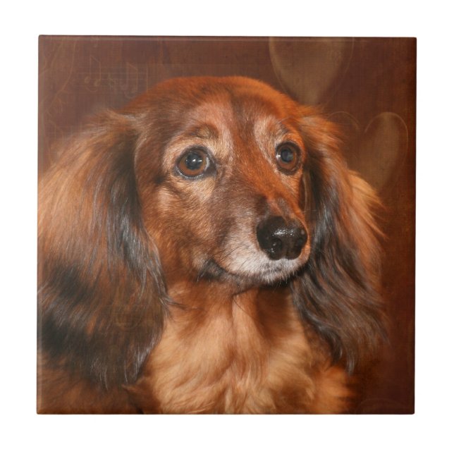 Dachshund face tile (Front)