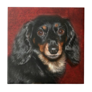 Dachshund face tile