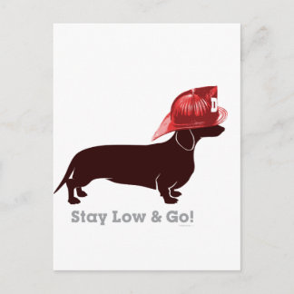 Dachshund Firefighter "Stay Low" Postcard