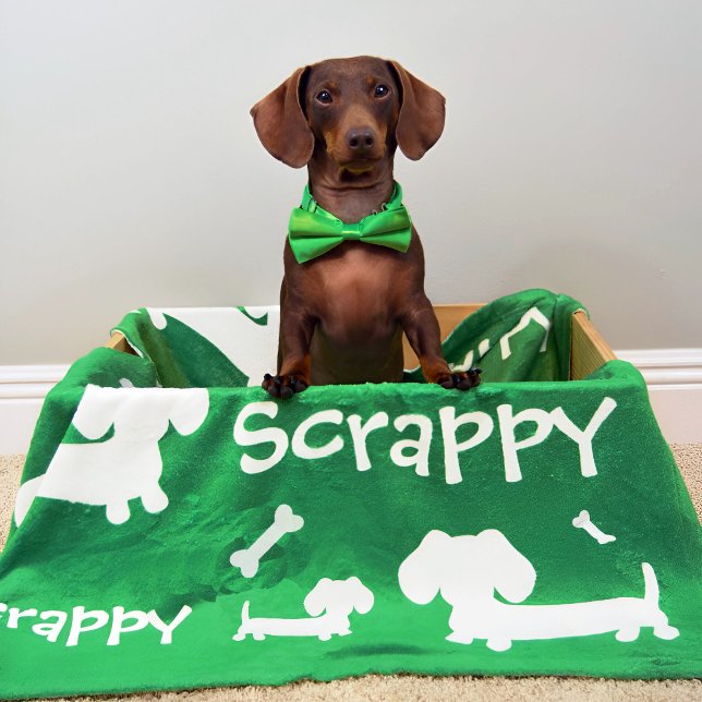 Dachshund Fleece Blanket Green Personalised  (Personalized dachshund blanket)