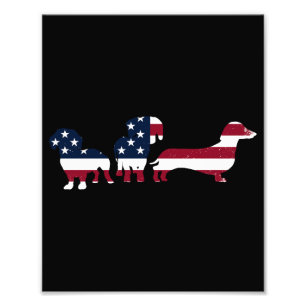 Dachshund Fourth 4th Of July Patriotic Wiener Dogs Photo Print