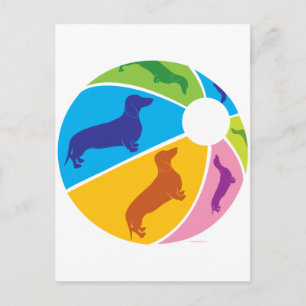 Dachshund Fun Beachball Postcard