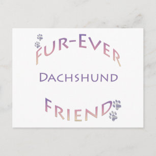 Dachshund Furever Postcard