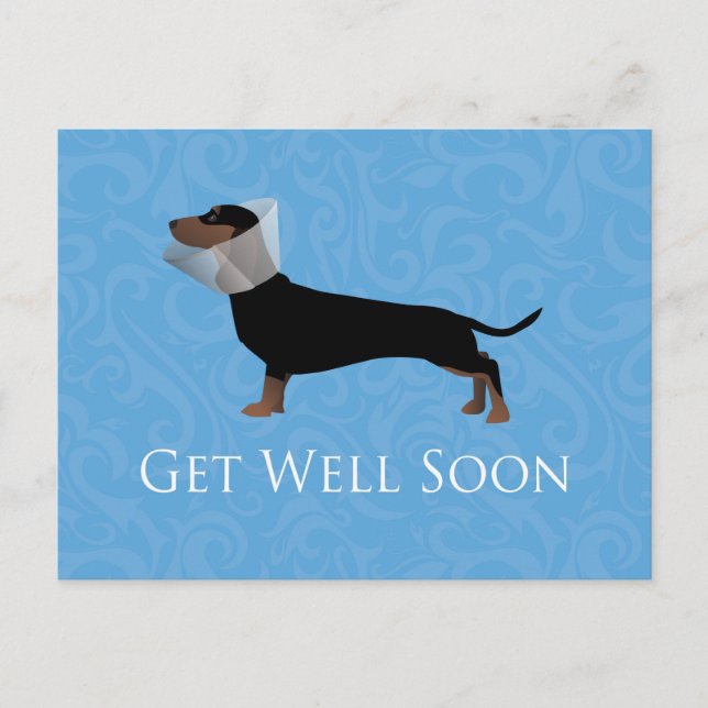 Dachshund Get Well Soon Design Postcard (Front)
