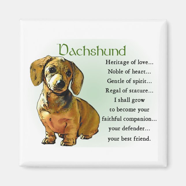 Dachshund Gifts Magnet (Front)