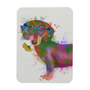 Dachshund & Glasses Rainbow Splash Magnet