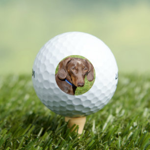 Dachshund Golf Balls