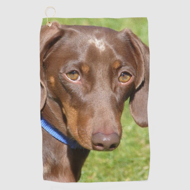 Dachshund Golf Towel (Front)