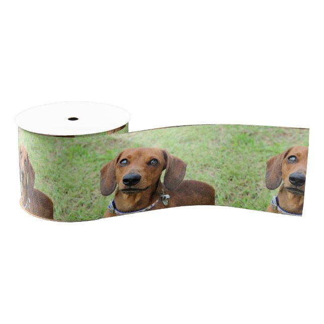 Dachshund Grosgrain Ribbon (Spool)