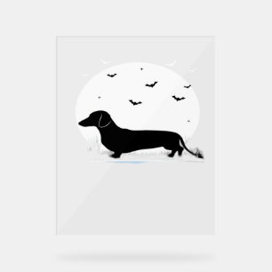 Dachshund Halloween Costume  My Dachshund is My Bo Acrylic Sign