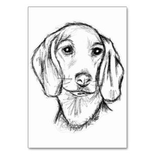 dachshund hand drawn sketch black white puppy dog table number