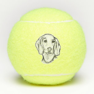 dachshund hand drawn sketch black white puppy dog tennis balls
