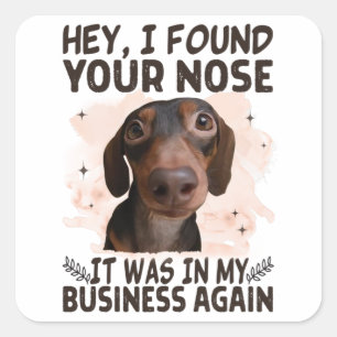 Dachshund Hey I Found Your Nose It Was My Business Square Sticker