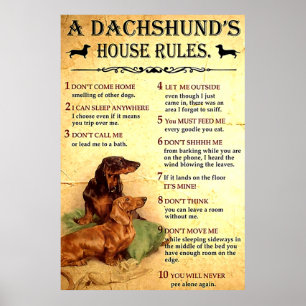 Dachshund House Rules Poster Gift for Men Women, O