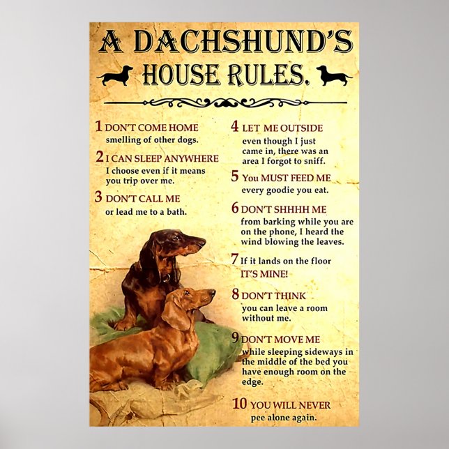Dachshund House Rules Poster Gift for Men Women, O (Front)