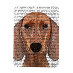 Dachshund Illustration Plain Magnet