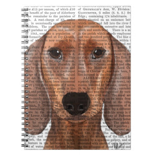 Dachshund Illustration Plain Notebook