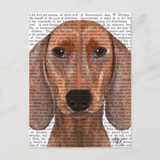 Dachshund Illustration Plain Postcard (Front)