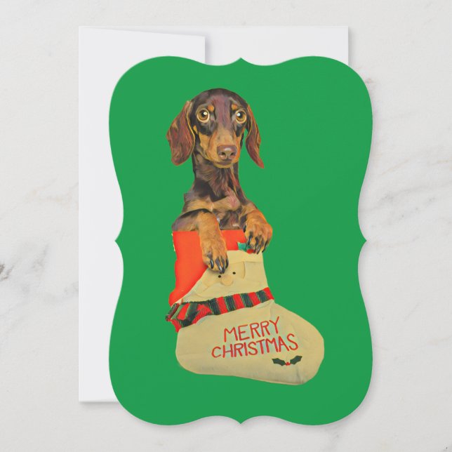 Dachshund in a Christmas Stocking Holiday Card (Front)