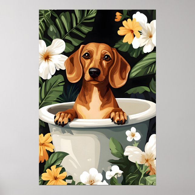 Dachshund In Bathtub Poster, Funny Dog Poster (Front)