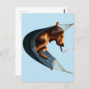 Dachshund in Hammock  Postcard