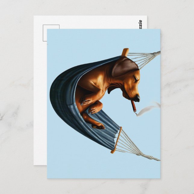 Dachshund in Hammock  Postcard (Front/Back)