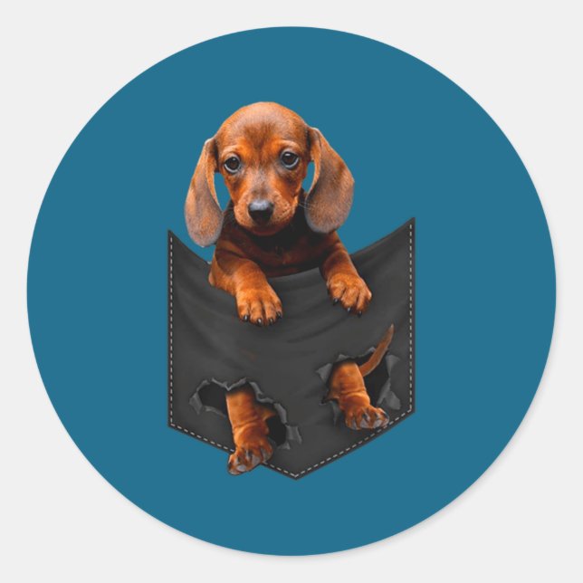 Dachshund In My Cket  Classic Round Sticker (Front)