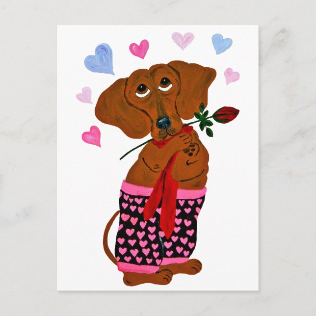 Dachshund In Pink Heart Shorts Postcard (Front)