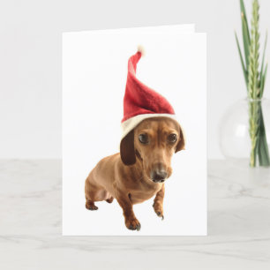 Dachshund in Santa hat Holiday Card