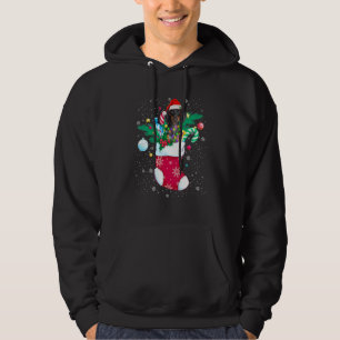 Dachshund In Sock Funny Christmas Lights Pajama Sa Hoodie
